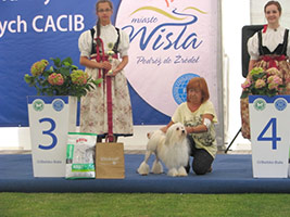 CWC, CACIB, Poland Winner, BOB